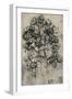 'A Spray of Brambles', c1480 (1945)-Leonardo Da Vinci-Framed Giclee Print