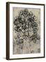 'A Spray of Brambles', c1480 (1945)-Leonardo Da Vinci-Framed Giclee Print