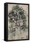 'A Spray of Brambles', c1480 (1945)-Leonardo Da Vinci-Framed Stretched Canvas
