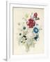 A Spray of Flowers Including a Rose-Caroline Adrien-Framed Giclee Print