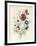 A Spray of Flowers Including a Rose-Caroline Adrien-Framed Giclee Print