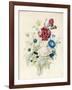 A Spray of Flowers Including a Rose-Caroline Adrien-Framed Giclee Print