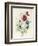 A Spray of Flowers Including a Rose-Caroline Adrien-Framed Giclee Print