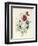 A Spray of Flowers Including a Rose-Caroline Adrien-Framed Giclee Print