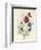 A Spray of Flowers Including a Rose-Caroline Adrien-Framed Giclee Print