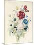 A Spray of Flowers Including a Rose-Caroline Adrien-Mounted Giclee Print