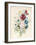 A Spray of Flowers Including a Rose-Caroline Adrien-Framed Giclee Print