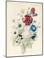 A Spray of Flowers Including a Rose-Caroline Adrien-Mounted Giclee Print