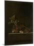A Sprig of Gooseberries on a Stone Plinth-Adriaen Coorte-Mounted Art Print