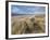 A Spring Evening at Holkham Bay, Norfolk, England-Jon Gibbs-Framed Photographic Print