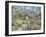 A Spring Garden-Trevor Mitchell-Framed Giclee Print