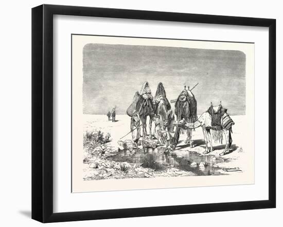 A Spring in the Desert, Egypt, 1879-null-Framed Giclee Print