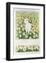 A Spring in the Step-Pat Scott-Framed Giclee Print