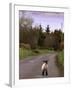 A Spring Lamb Walks in the Scenic Glens of Antrim in Cushendall, Northern Ireland-null-Framed Premium Photographic Print