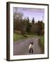 A Spring Lamb Walks in the Scenic Glens of Antrim in Cushendall, Northern Ireland-null-Framed Premium Photographic Print