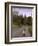 A Spring Lamb Walks in the Scenic Glens of Antrim in Cushendall, Northern Ireland-null-Framed Photographic Print