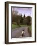 A Spring Lamb Walks in the Scenic Glens of Antrim in Cushendall, Northern Ireland-null-Framed Photographic Print