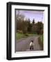 A Spring Lamb Walks in the Scenic Glens of Antrim in Cushendall, Northern Ireland-null-Framed Photographic Print