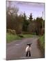 A Spring Lamb Walks in the Scenic Glens of Antrim in Cushendall, Northern Ireland-null-Mounted Photographic Print