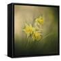 A Spring Morning Welcome-Jai Johnson-Framed Stretched Canvas