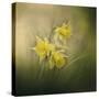 A Spring Morning Welcome-Jai Johnson-Stretched Canvas