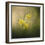 A Spring Morning Welcome-Jai Johnson-Framed Giclee Print