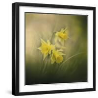 A Spring Morning Welcome-Jai Johnson-Framed Giclee Print