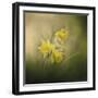 A Spring Morning Welcome-Jai Johnson-Framed Giclee Print