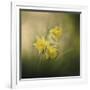 A Spring Morning Welcome-Jai Johnson-Framed Giclee Print