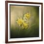 A Spring Morning Welcome-Jai Johnson-Framed Giclee Print