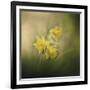 A Spring Morning Welcome-Jai Johnson-Framed Giclee Print