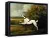 A Springer Spaniel in a Landscape, 1801-Henry Bernard Chalon-Framed Stretched Canvas