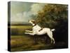 A Springer Spaniel in a Landscape, 1801-Henry Bernard Chalon-Stretched Canvas