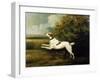 A Springer Spaniel in a Landscape, 1801-Henry Bernard Chalon-Framed Giclee Print