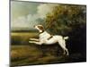 A Springer Spaniel in a Landscape, 1801-Henry Bernard Chalon-Mounted Giclee Print