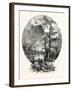 A Spur of Tammany, Delaware Water Gap, USA-John Douglas Woodward-Framed Giclee Print