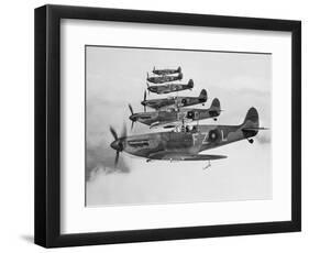 A Squadron of British Supermarine Spitfire Fighters-null-Framed Photographic Print