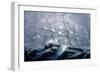 A Squall Off Cape Horn-Currier & Ives-Framed Giclee Print