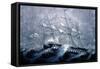 A Squall Off Cape Horn-Currier & Ives-Framed Stretched Canvas