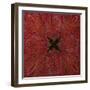 A Square Jamawar Shawl-null-Framed Giclee Print