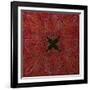 A Square Jamawar Shawl-null-Framed Giclee Print