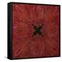 A Square Jamawar Shawl-null-Framed Stretched Canvas