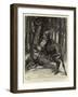 A Squatter's Adventure with a Moose in New Hampshire, USA-John Charlton-Framed Giclee Print