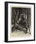 A Squatter's Adventure with a Moose in New Hampshire, USA-John Charlton-Framed Giclee Print