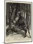 A Squatter's Adventure with a Moose in New Hampshire, USA-John Charlton-Mounted Giclee Print