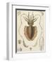 A Squid-null-Framed Giclee Print