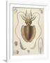 A Squid-null-Framed Giclee Print