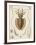 A Squid-null-Framed Giclee Print