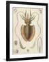 A Squid-null-Framed Giclee Print
