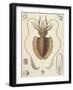 A Squid-null-Framed Giclee Print